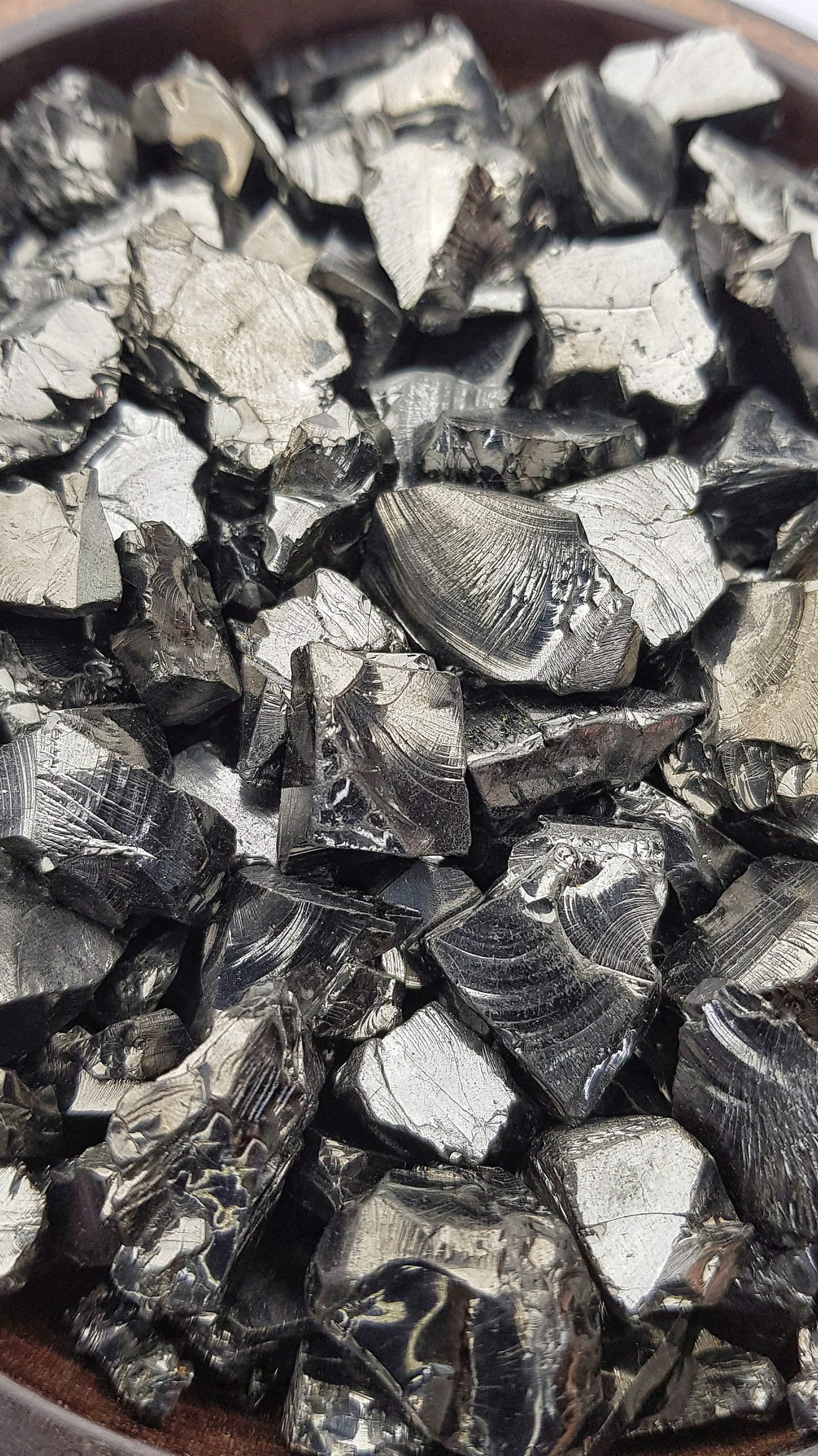 Elite Shungite Mineraloid Shards