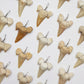 Shark Tooth Fossil Pendants